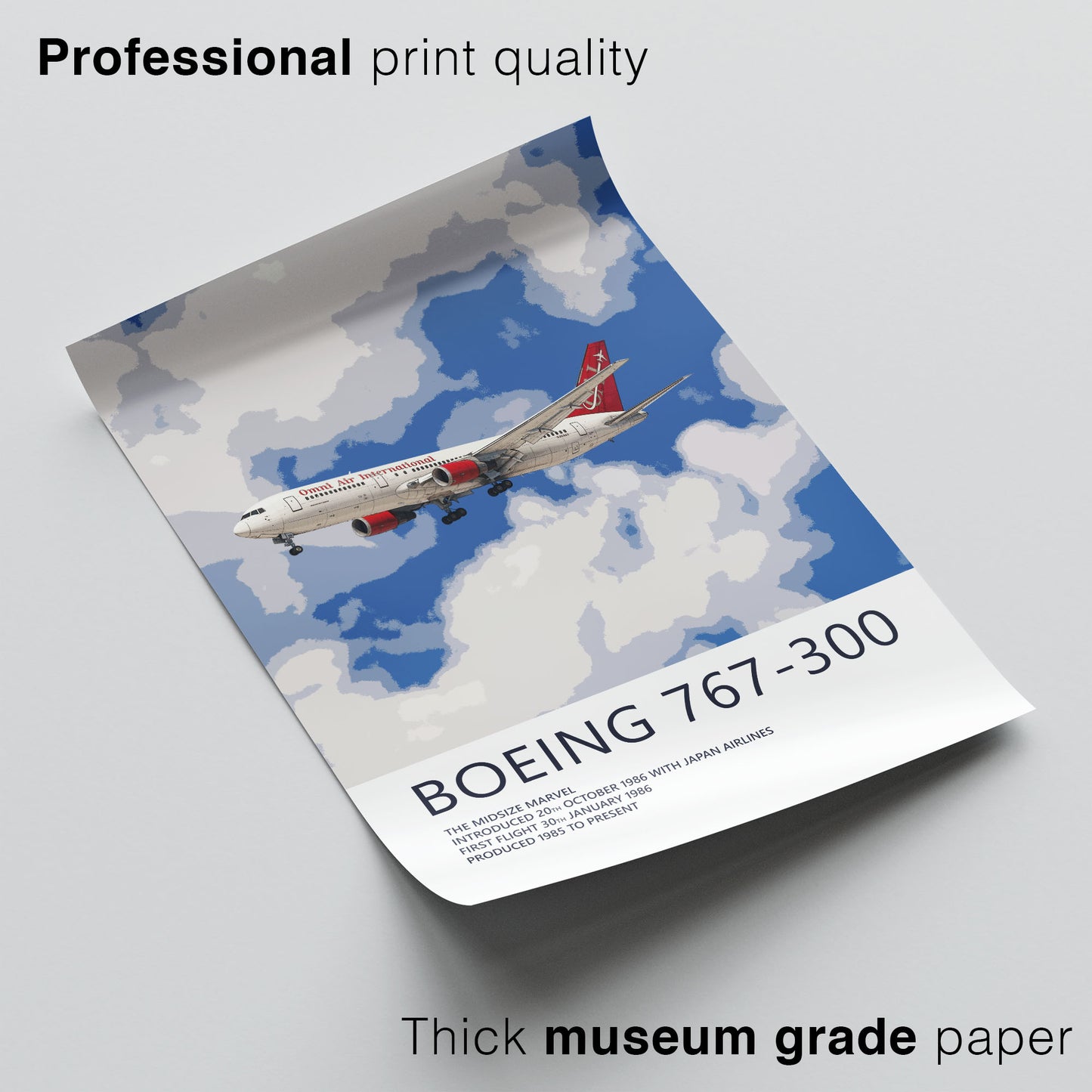 Omni Air International Boeing 767 Poster