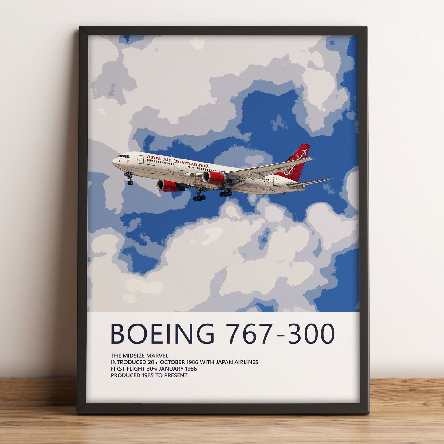 Omni Air International Boeing 767 Poster