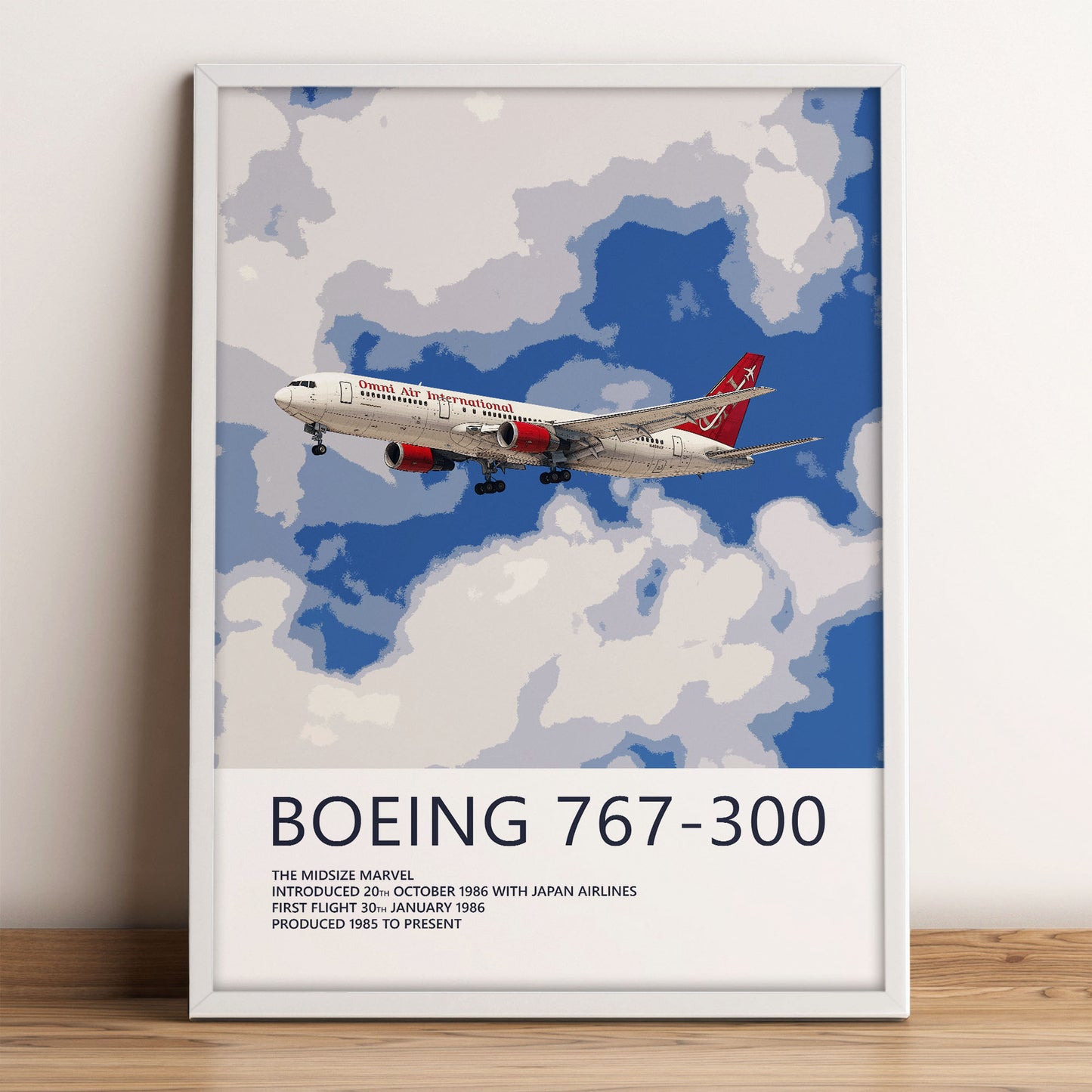Omni Air International Boeing 767 Poster