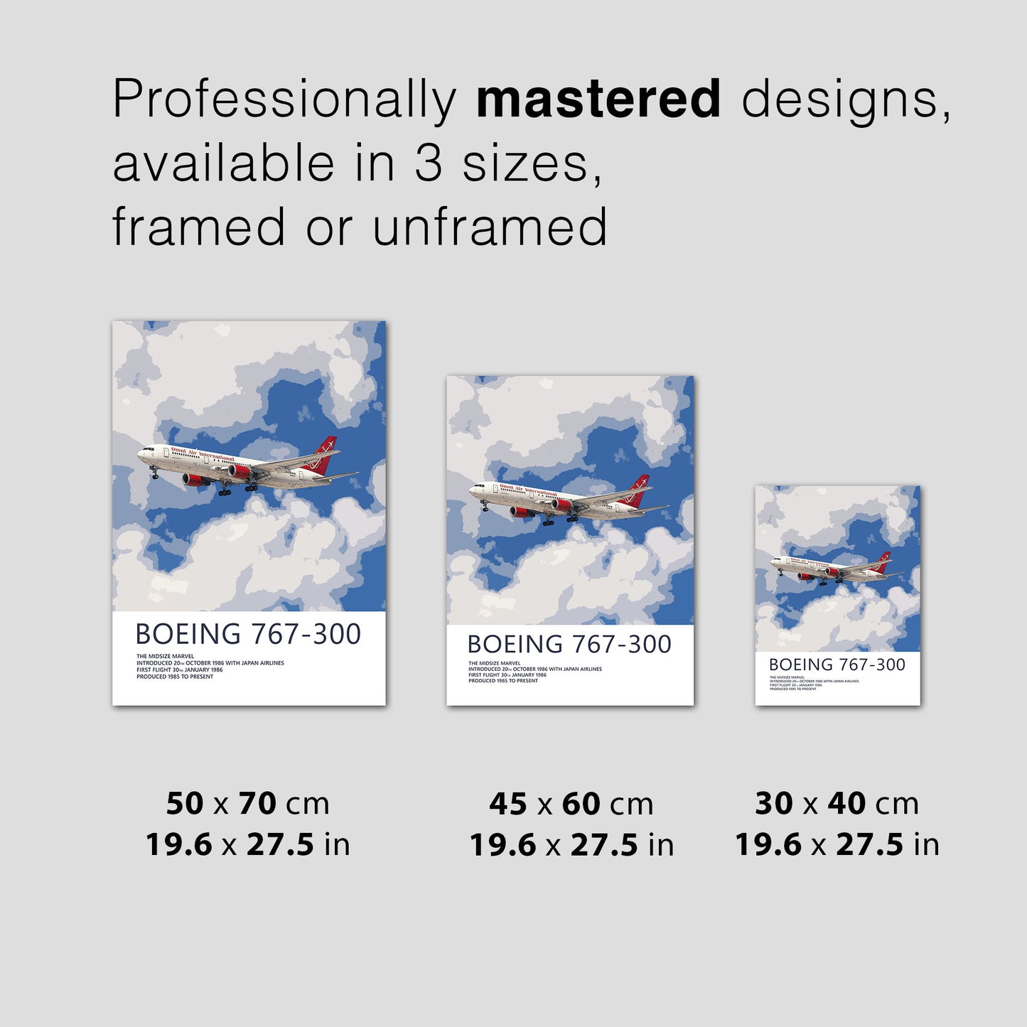 Omni Air International Boeing 767 Poster