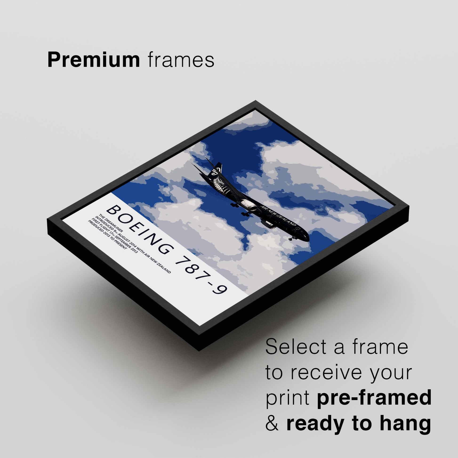 a Boeing 787-9 airplane flying in the sky, with a text overlay that provides information about the premium frames available for receiving the print.
