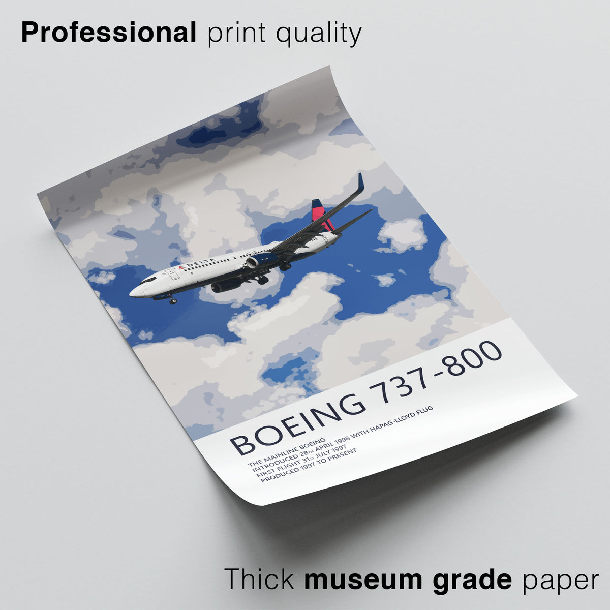 Delta Air Lines Boeing 737-800 Poster
