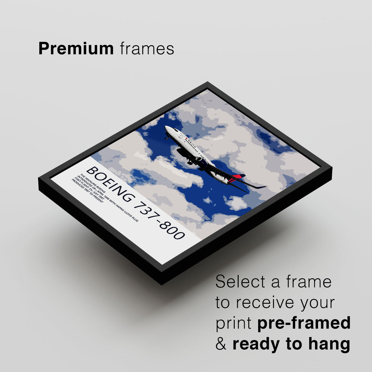 Delta Air Lines Boeing 737-800 Poster