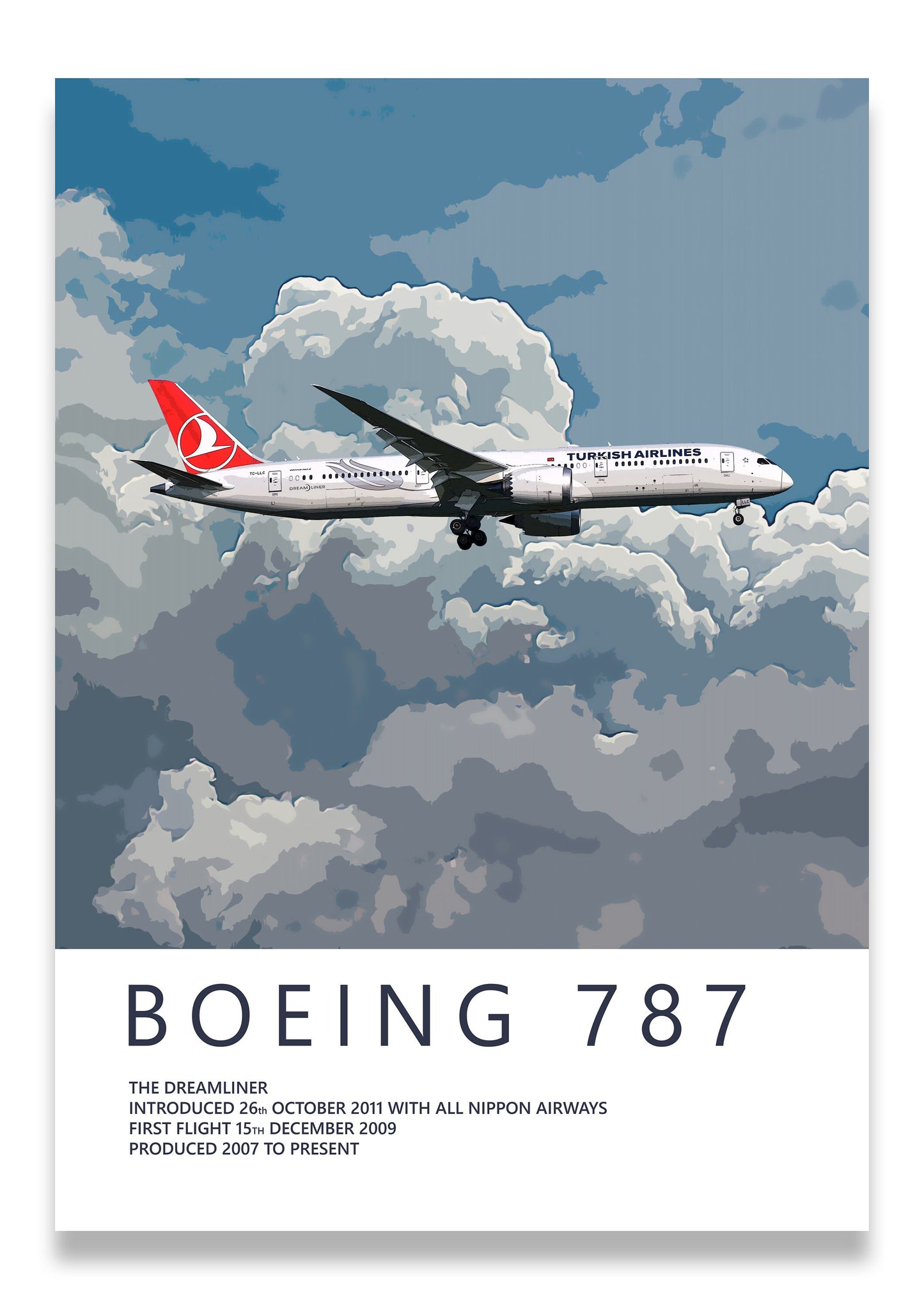 Turkish Airlines Boeing 787 Poster, gift for pilot, aviation poster, aviation artwork, aviation gift, airliner, airplane, plane