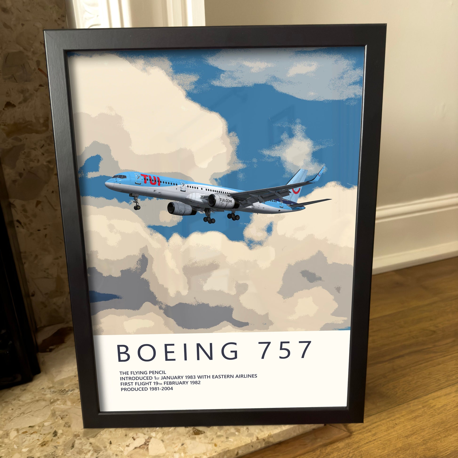 TUI Boeing 757 Poster - Fine Aviation Artwork - Fantastic gift for pilots, cabin crew or plane enthusiasts