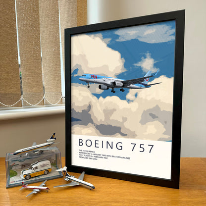 TUI Boeing 757 Poster - Fine Aviation Artwork - Fantastic gift for pilots, cabin crew or plane enthusiasts