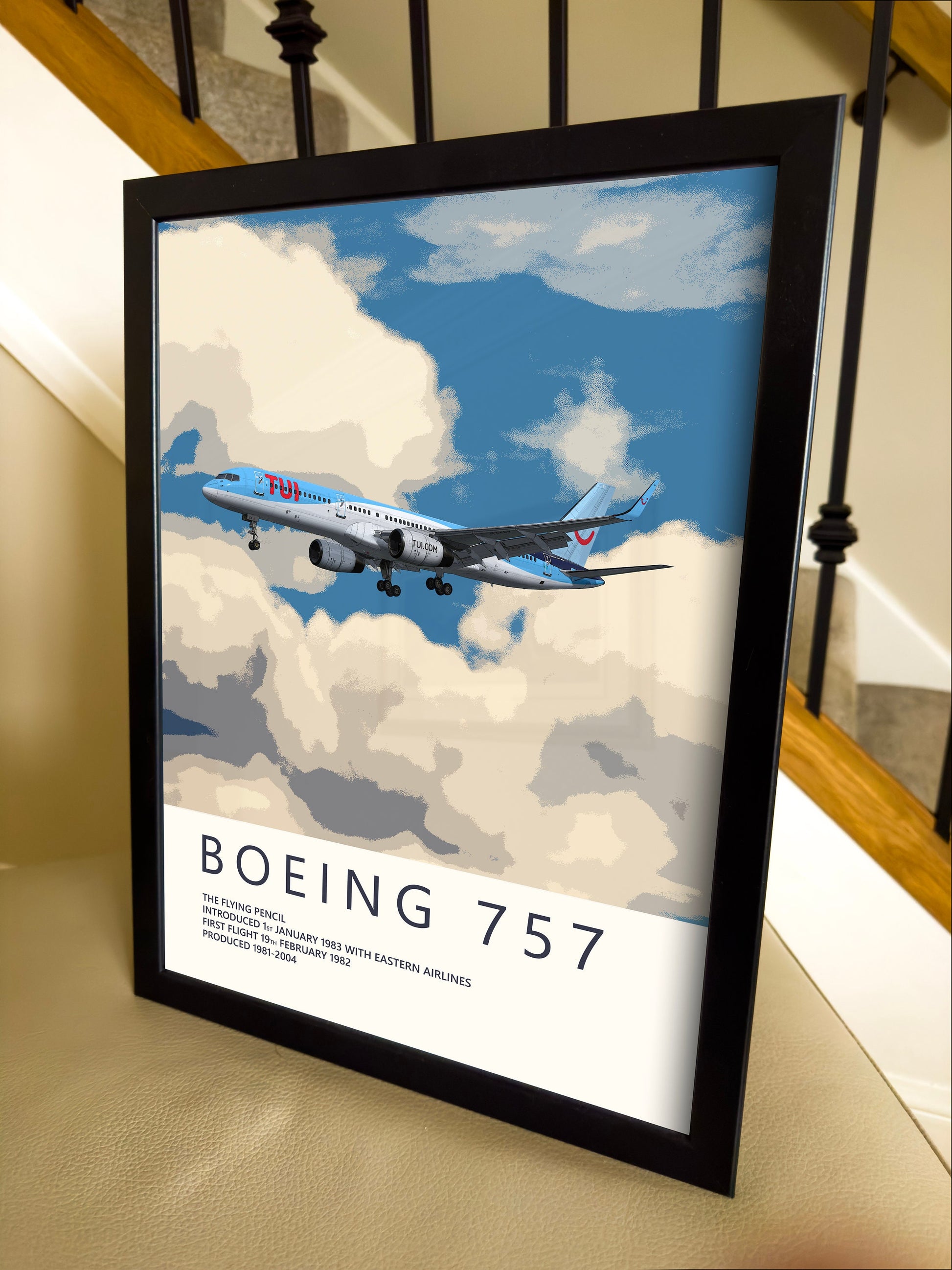 TUI Boeing 757 Poster - Fine Aviation Artwork - Fantastic gift for pilots, cabin crew or plane enthusiasts