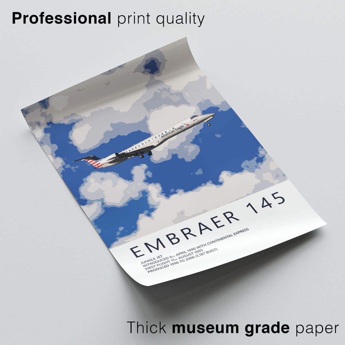 Piedmont Airlines Embraer ERJ145 Poster – American Eagle
