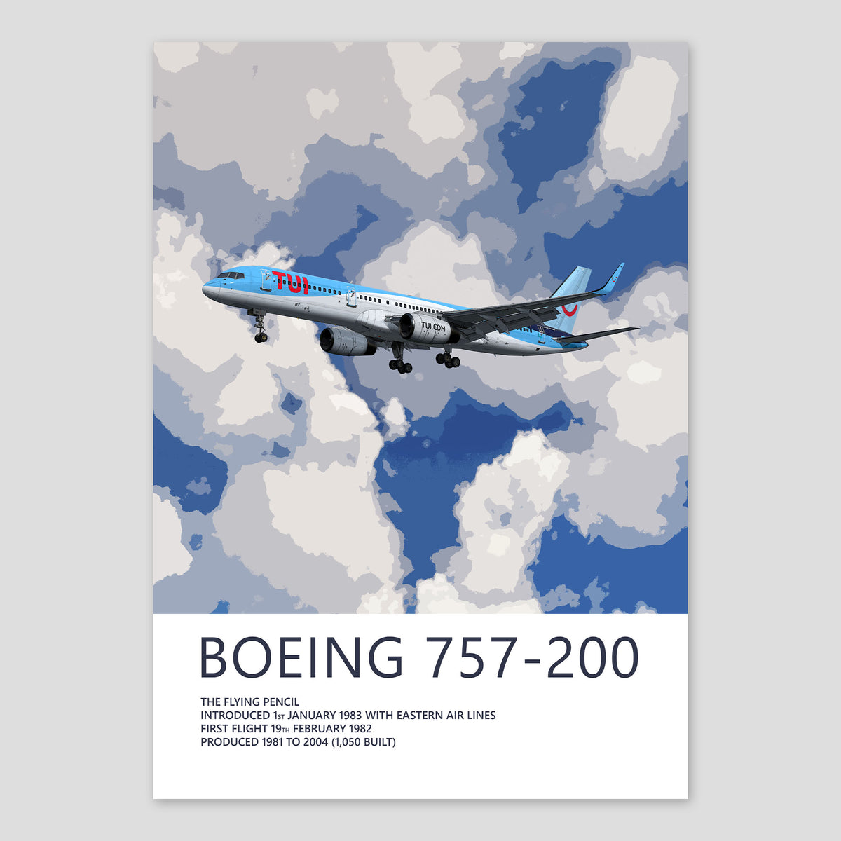 TUI Boeing 757-200 Poster