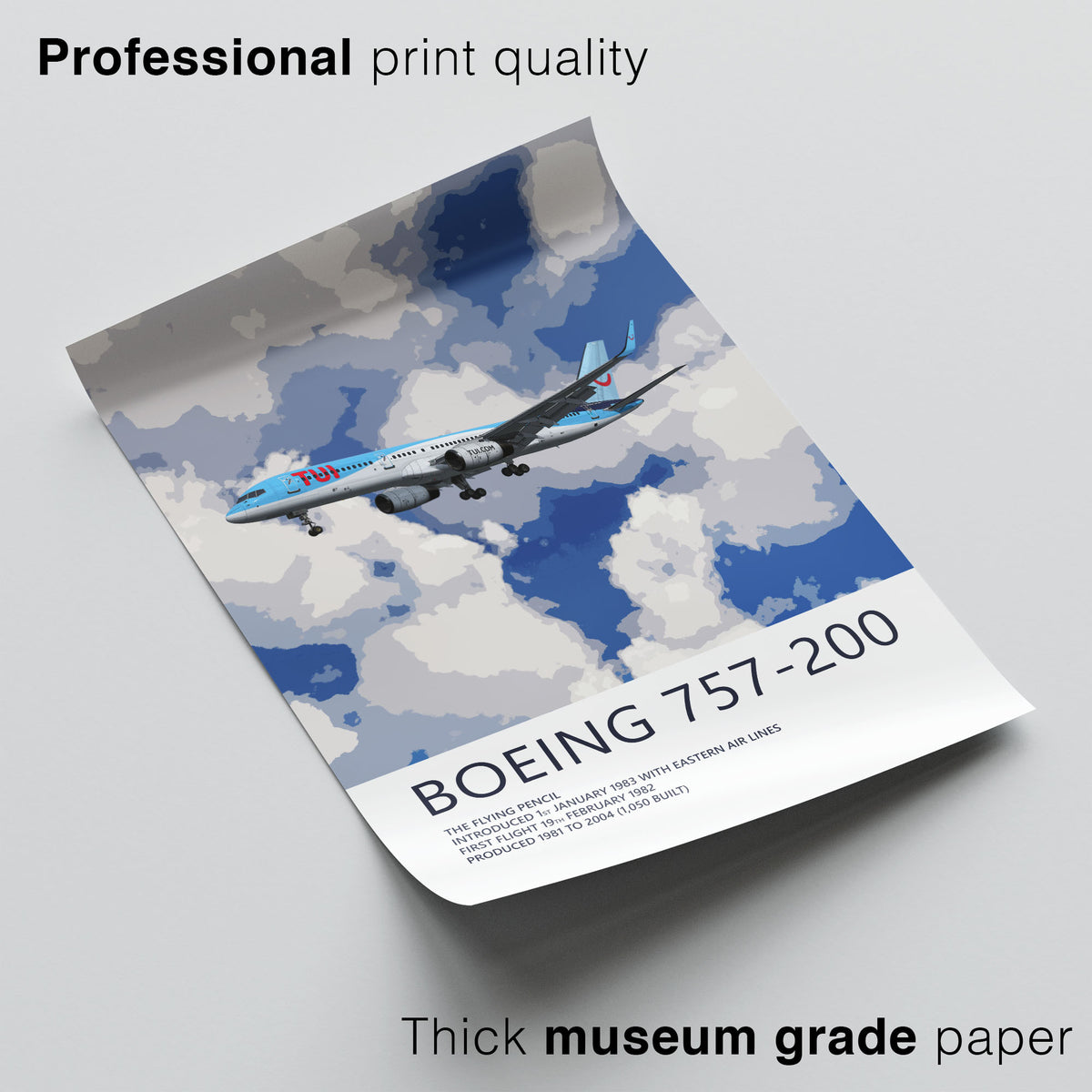 TUI Boeing 757-200 Poster